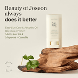 Beauty of Joseon Matte Sun Stick SPF 50+ PA ++++ - Be Yours - SunCream