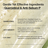 Anua Heartleaf Quercetinol Pore Deep Cleansing Foam - Be Yours - 